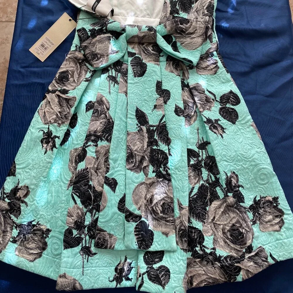 Topshop Mint Green Embossed Floral Print Fit And Flare Backless Dress Size 2 - Picture 9 of 9